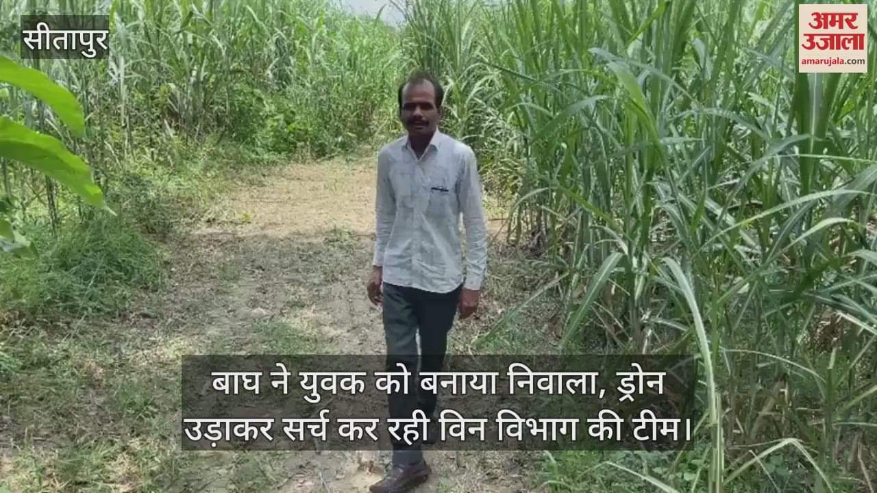 सीतापुर में बाघ ने युवक को बनाया निवाला, ड्रोन उड़ाकर बाघ को सर्च कर रही विन विभाग की टीम