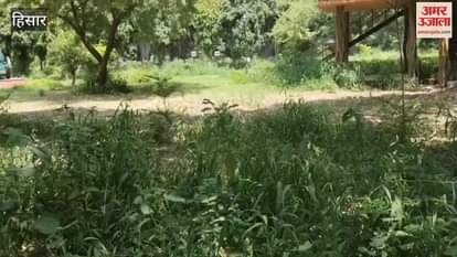 Soon after the CM inaugurated the Agri Tourism Center in Hisar, it was locked and has not been opened even after 7 months