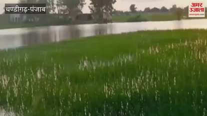 island of Kaluwala in Ferozepur is surrounded by water of Sutlej river
