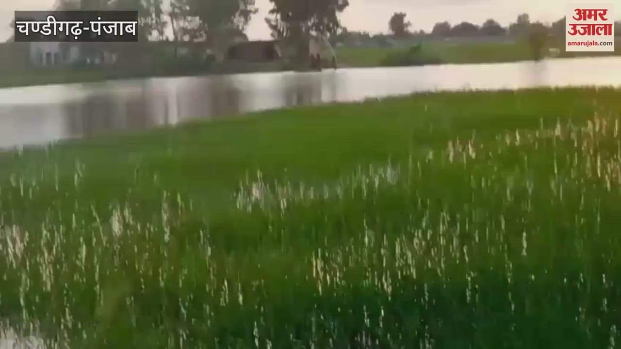 island of Kaluwala in Ferozepur is surrounded by water of Sutlej river