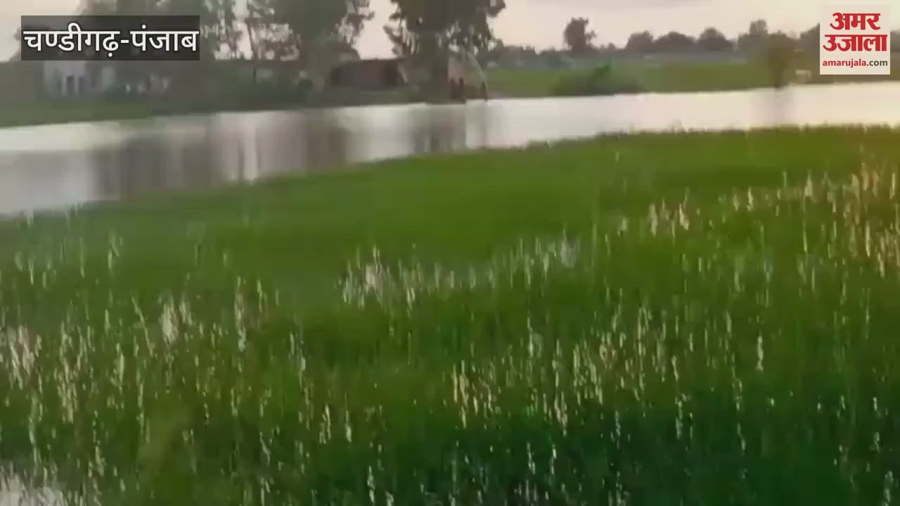 island of Kaluwala in Ferozepur is surrounded by water of Sutlej river