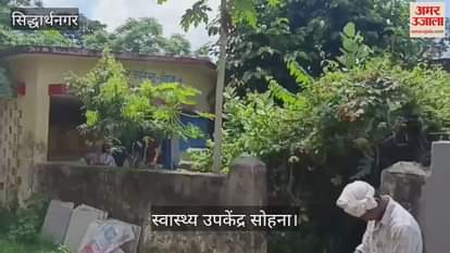 Healthy sub-centre amidst dense bushes, mosquito infestation increased during the day