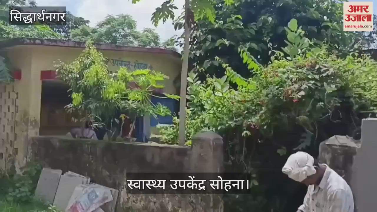 Healthy sub-centre amidst dense bushes, mosquito infestation increased during the day