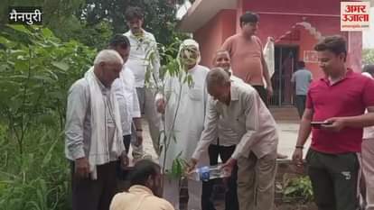 Tree plantation program organized