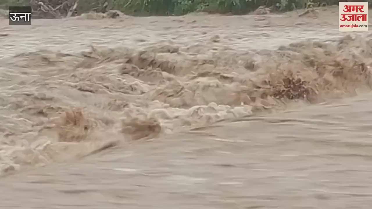 Una Potholes have taken a monstrous form people are crossing the road risking their lives