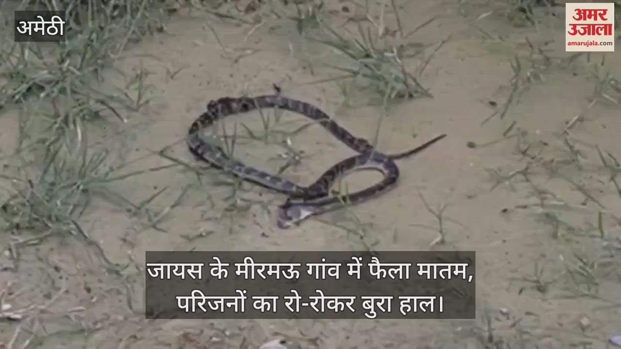 VIDEO: कमरे में सो रही चाची-भतीजी को सांप ने डसा, दोनों की मौत