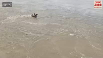 Shamli: A young man from Panipat drowned while bathing in Yamuna.