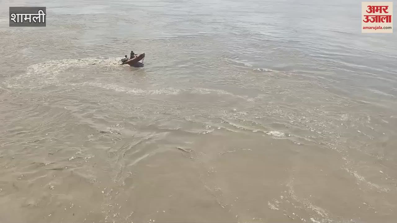 Shamli: A young man from Panipat drowned while bathing in Yamuna.