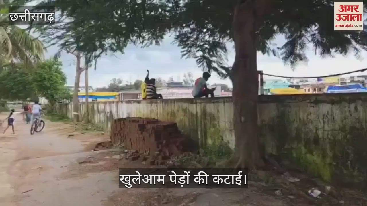 Open felling of trees continues responsible people turn a blindfold local people are angry in Kondagaon