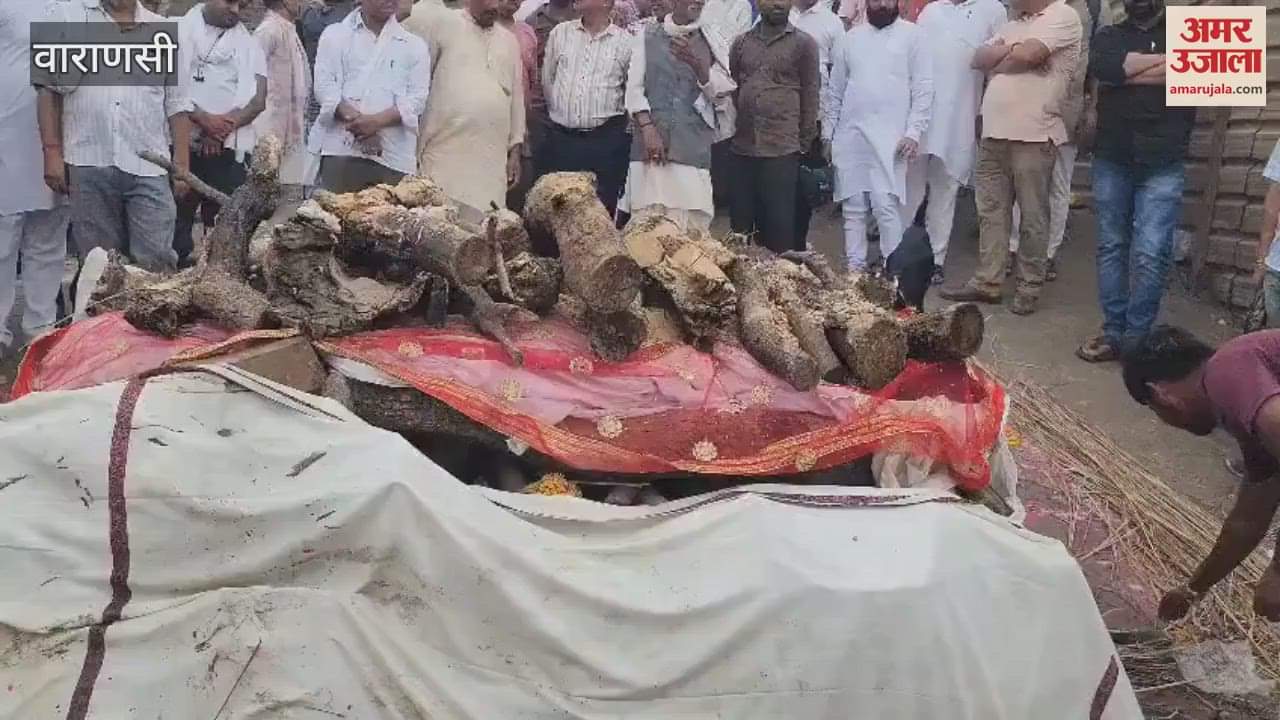 Vice Chancellor Professor Hare Ram Tripathi merged into Panchtantra