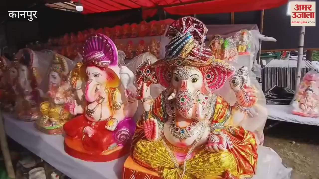 Preparations for Ganesh festival are in full swing, people are buying idols and decorative items