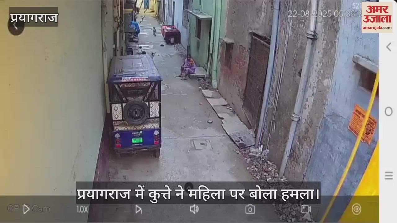 A dog attacked a woman in Prayagraj and seriously injured her