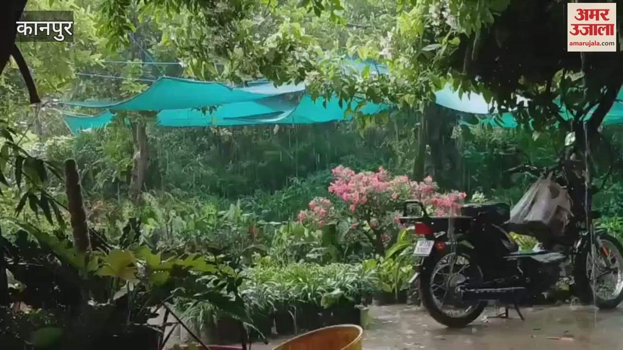 rainy season acts as a lifesaver for plants