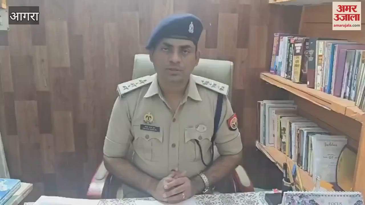 canter carrying animal bones stopped on highway