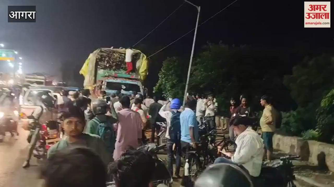 canter carrying animal bones stopped on highway  in agra