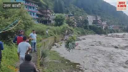 cow was stuck in the river for 25 days at Kharadi on Yamunotri Highway, fodder was delivered to it with the help of ropes