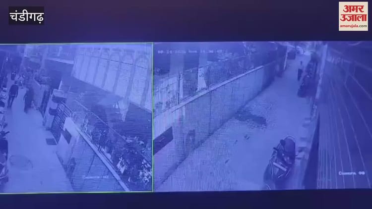 Former Army Officer Robbed At Knifepoint In Broad Daylight In Chandigarh – Amar Ujala Hindi News Live