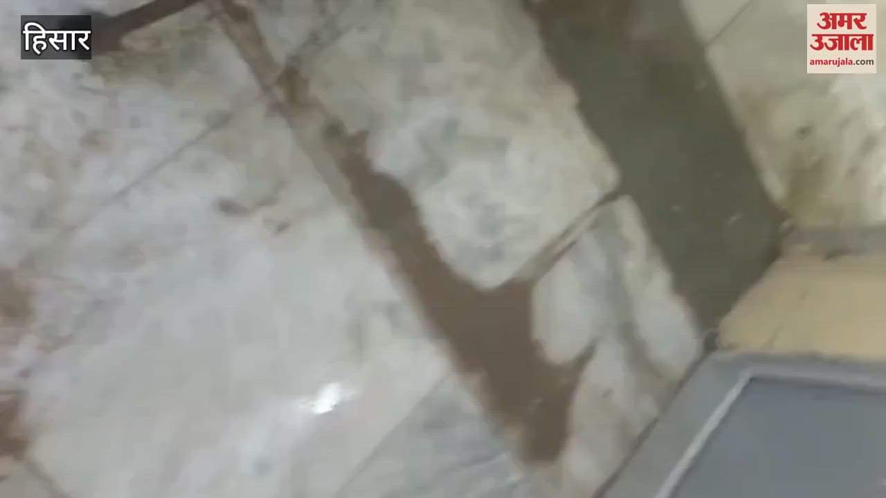 Rain continues in Hisar's Hansi since morning, Municipal Council's roof leaks