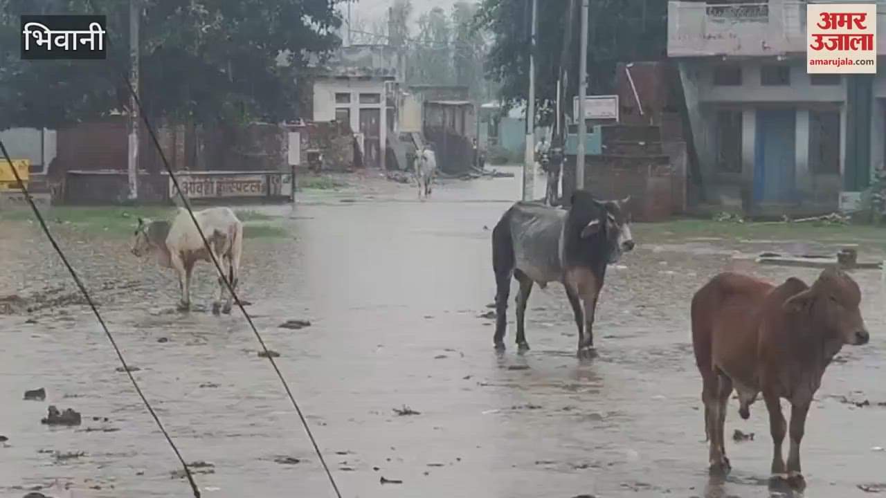 Rain continues in Bhiwani for the second consecutive day, situation worsens due to waterlogging