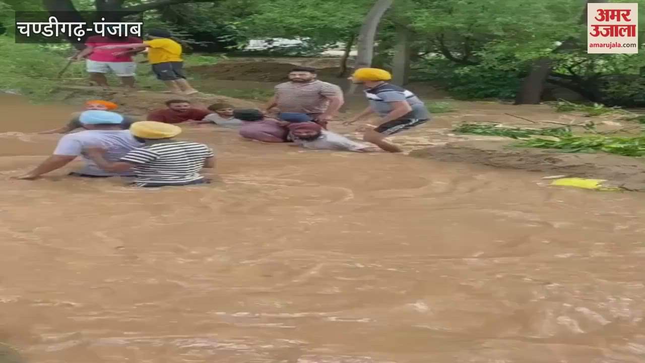A twenty feet crack appeared in the Jaga canal in Talwandi Sabo, Bathinda, more than a hundred acres of crops were destroyed