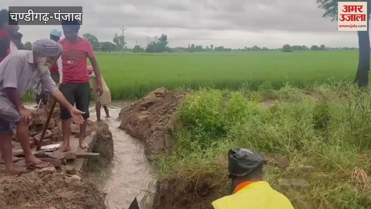 Farmers in Rampura's village Jiond are busy making arrangements for drainage of rain water