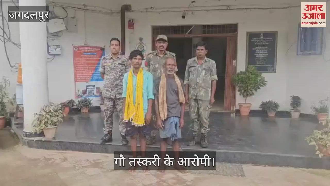 54 cattle recovered from the possession of two accused of cow smuggling in Dantewada