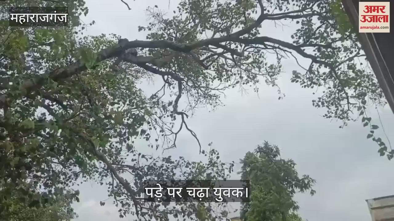 Angry at the delay, the young man climbed a tree and tried to hang himself