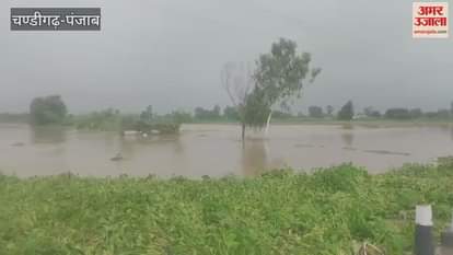 Police engaged in providing langar and rescuing flood affected villagers in Ferozepur
