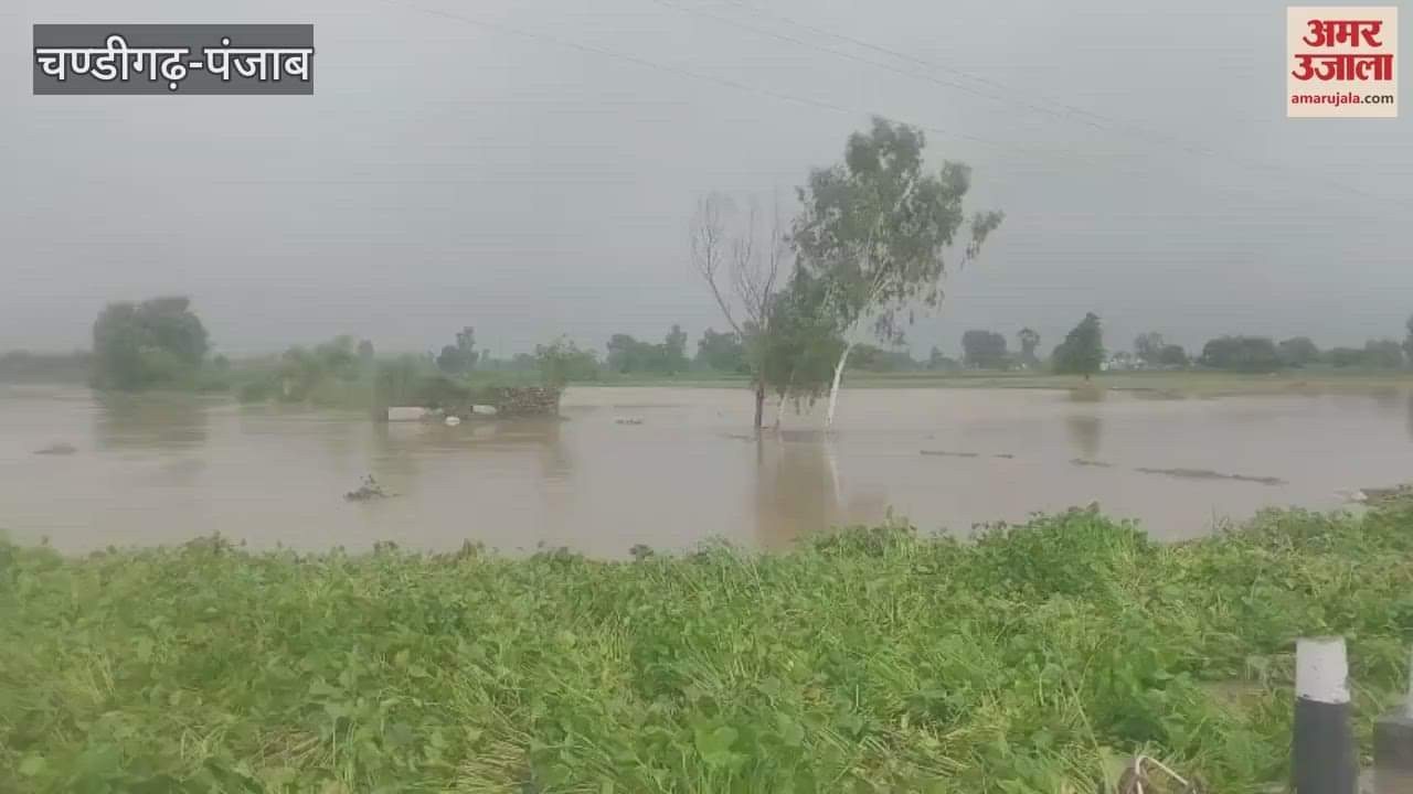 Police engaged in providing langar and rescuing flood affected villagers in Ferozepur