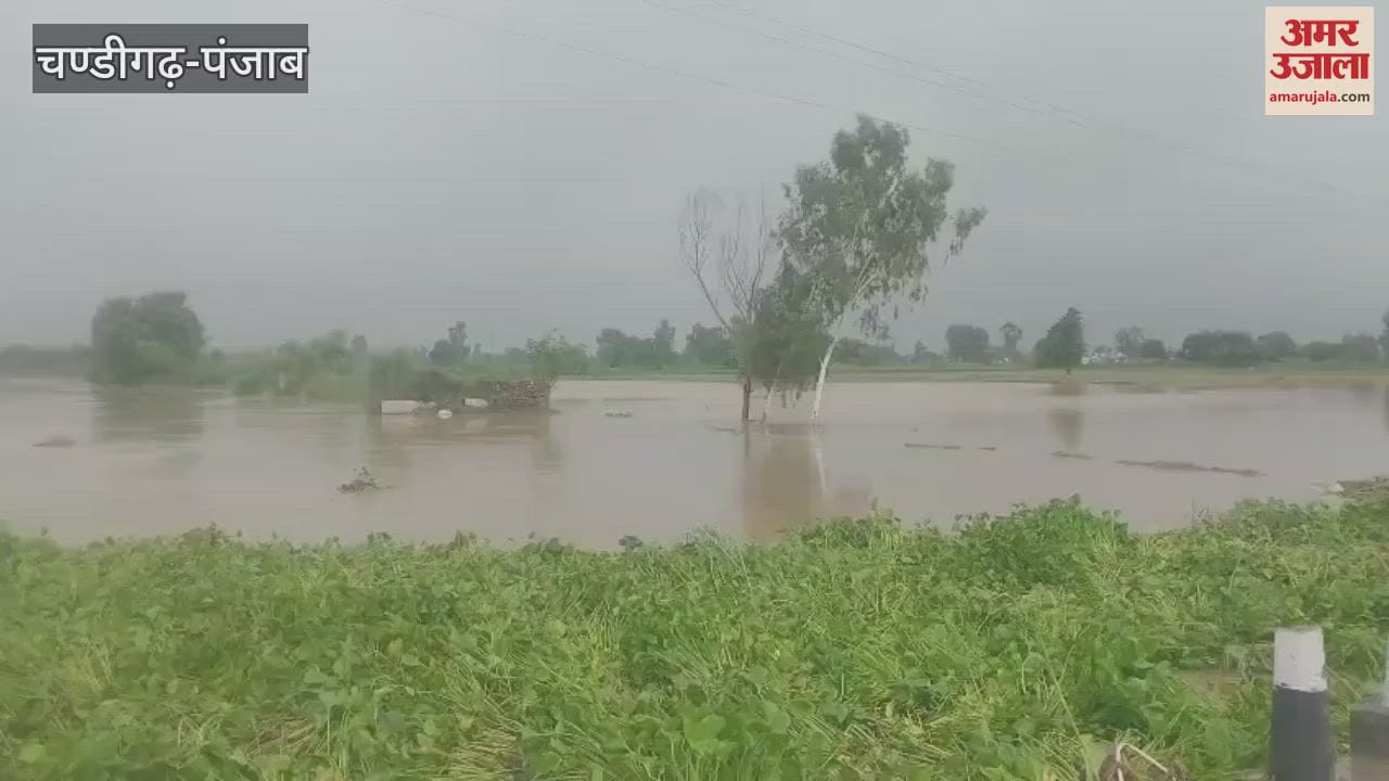 Police engaged in providing langar and rescuing flood affected villagers in Ferozepur