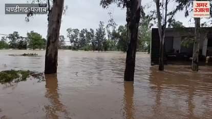 Ministers Barinder Goyal and Lalchand Kataruchak visited flood affected areas in Pathankot