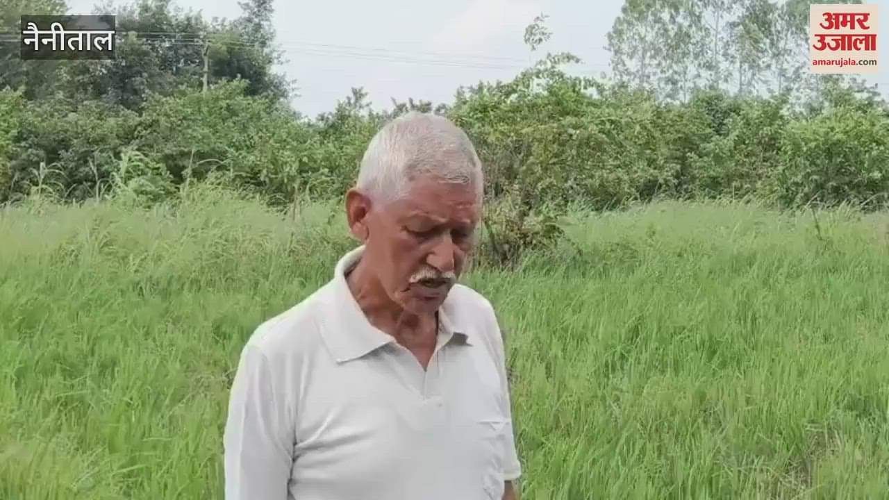 Terror of wild elephants in Kaladhungi