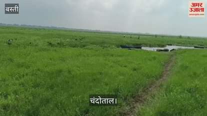 The bird of Bihar is in a bad state, its attraction is decreasing due to lack of facilities