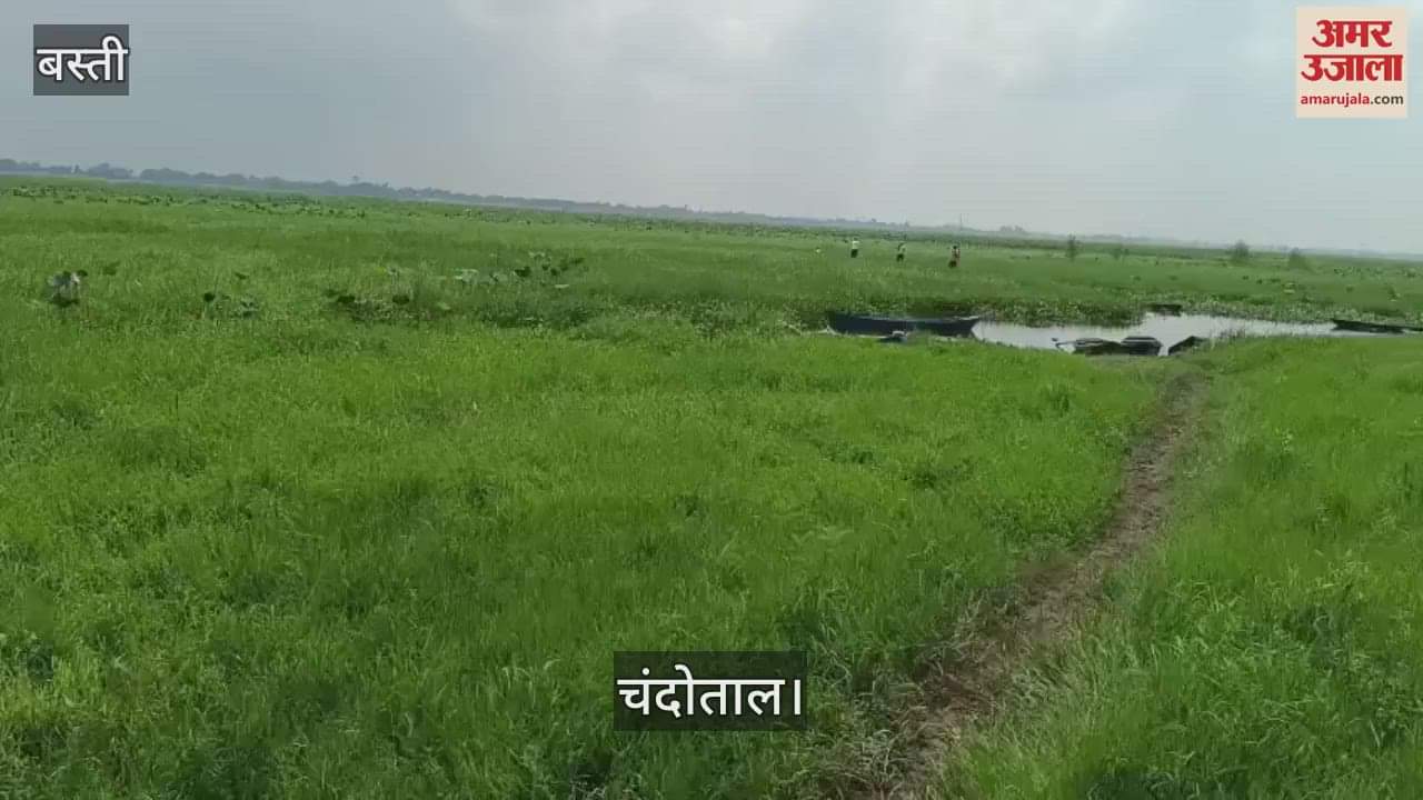 The bird of Bihar is in a bad state, its attraction is decreasing due to lack of facilities