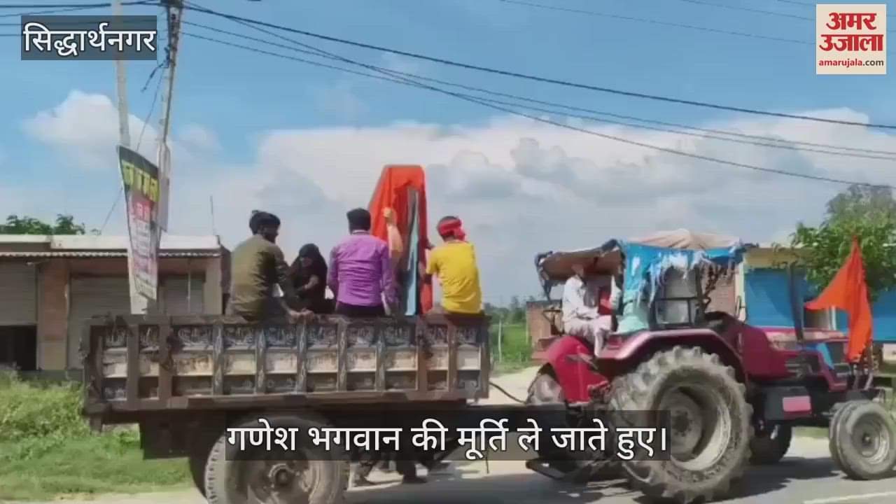 The pandals of Vighnaharta were decorated, devotees started taking away the idols