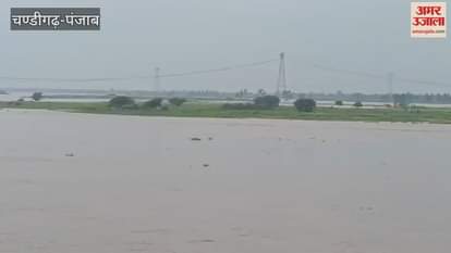 Migrant family trapped in Sutlej river rescued in Moga