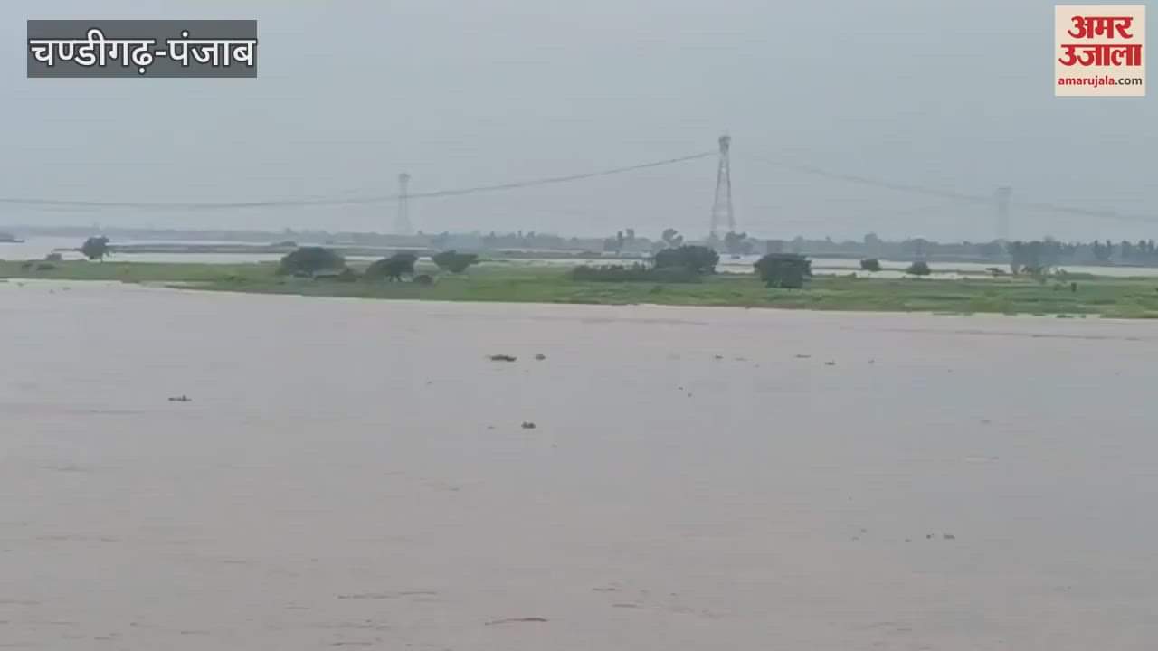Migrant family trapped in Sutlej river rescued in Moga
