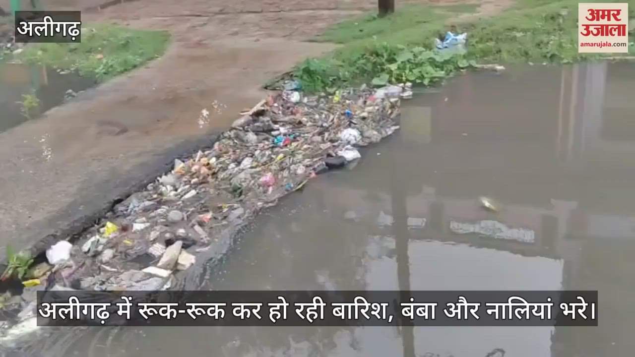 अलीगढ़ में रूक-रूक कर हो रही बारिश, बंबा और नालियां भरे