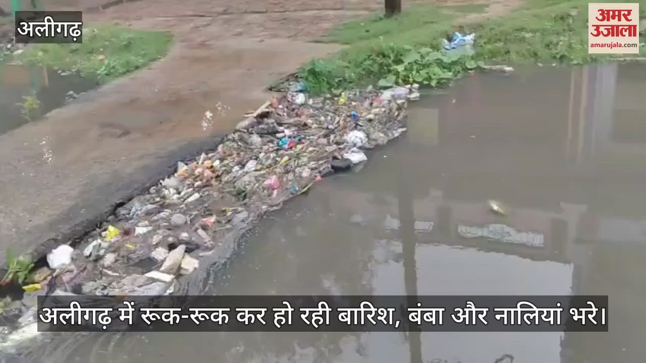 अलीगढ़ में रूक-रूक कर हो रही बारिश, बंबा और नालियां भरे