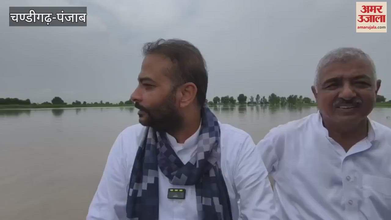 Former Congress MLA Raminder Awla reached the flood affected villages in Ferozepur with green fodder for animals