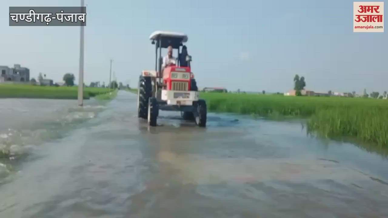 In village Muthian Wala of Ferozepur, river water entered houses and fields
