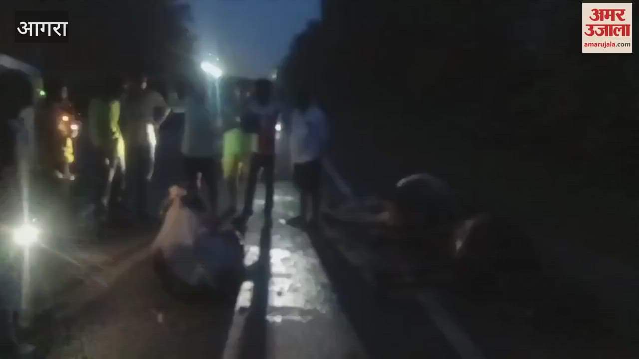 bull sitting on the road were trampled four dead two in critical condition