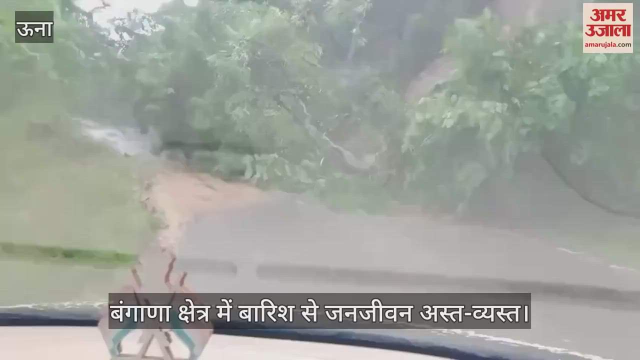 Rain in Bangana area disrupted life, trees fell on Kasraye-Amb, Takarla-Baduhi road