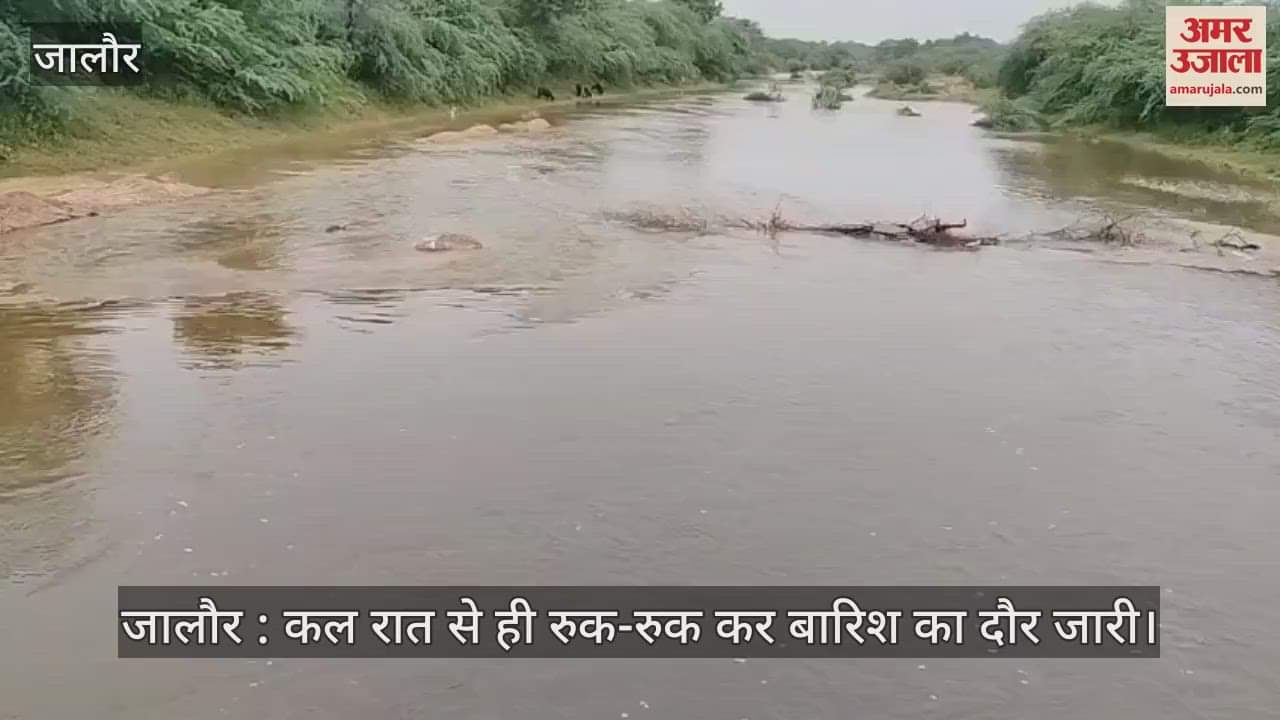 Jalore News: Intermittent Rain Continues, Flooding Disrupts Daily Life, Schools Closed in the District