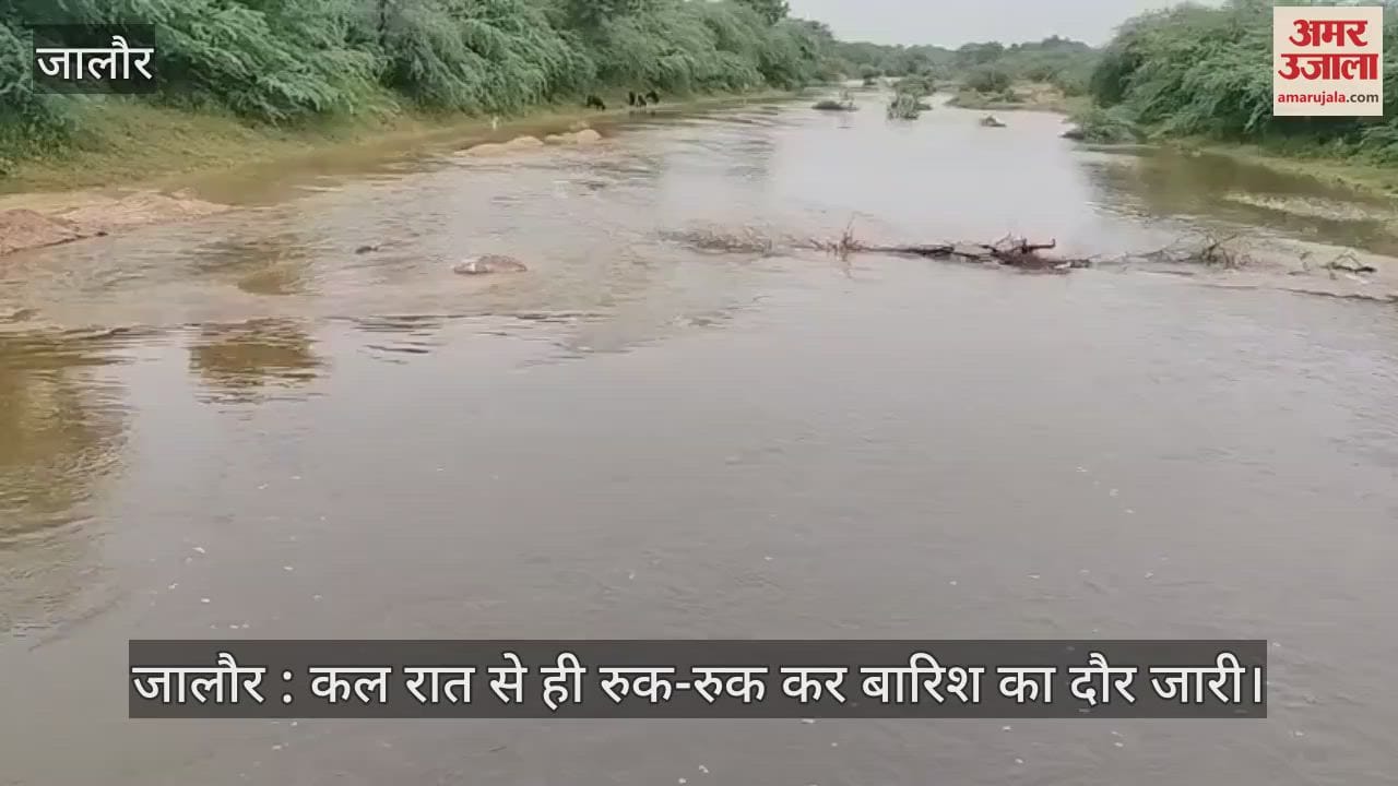 Jalore News: Intermittent Rain Continues, Flooding Disrupts Daily Life, Schools Closed in the District