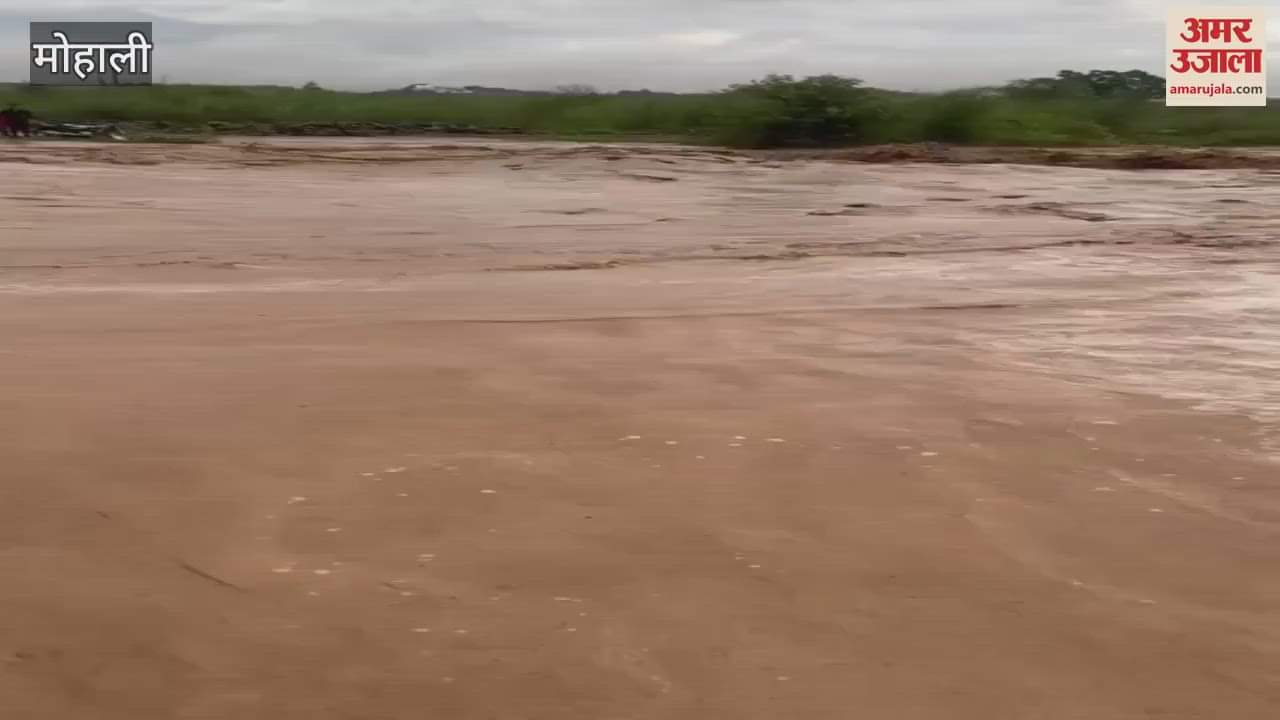 Due to heavy rains rainy river in Nayagaon swelled Mohali