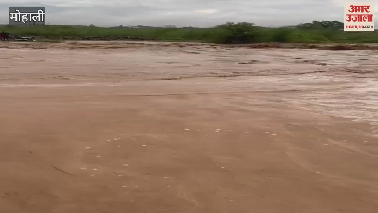 Due to heavy rains rainy river in Nayagaon swelled Mohali
