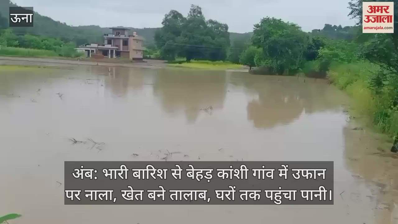 Amb: Drain overflows in the desolate Kanshi village due to heavy rains, fields turn into ponds, water reaches homes