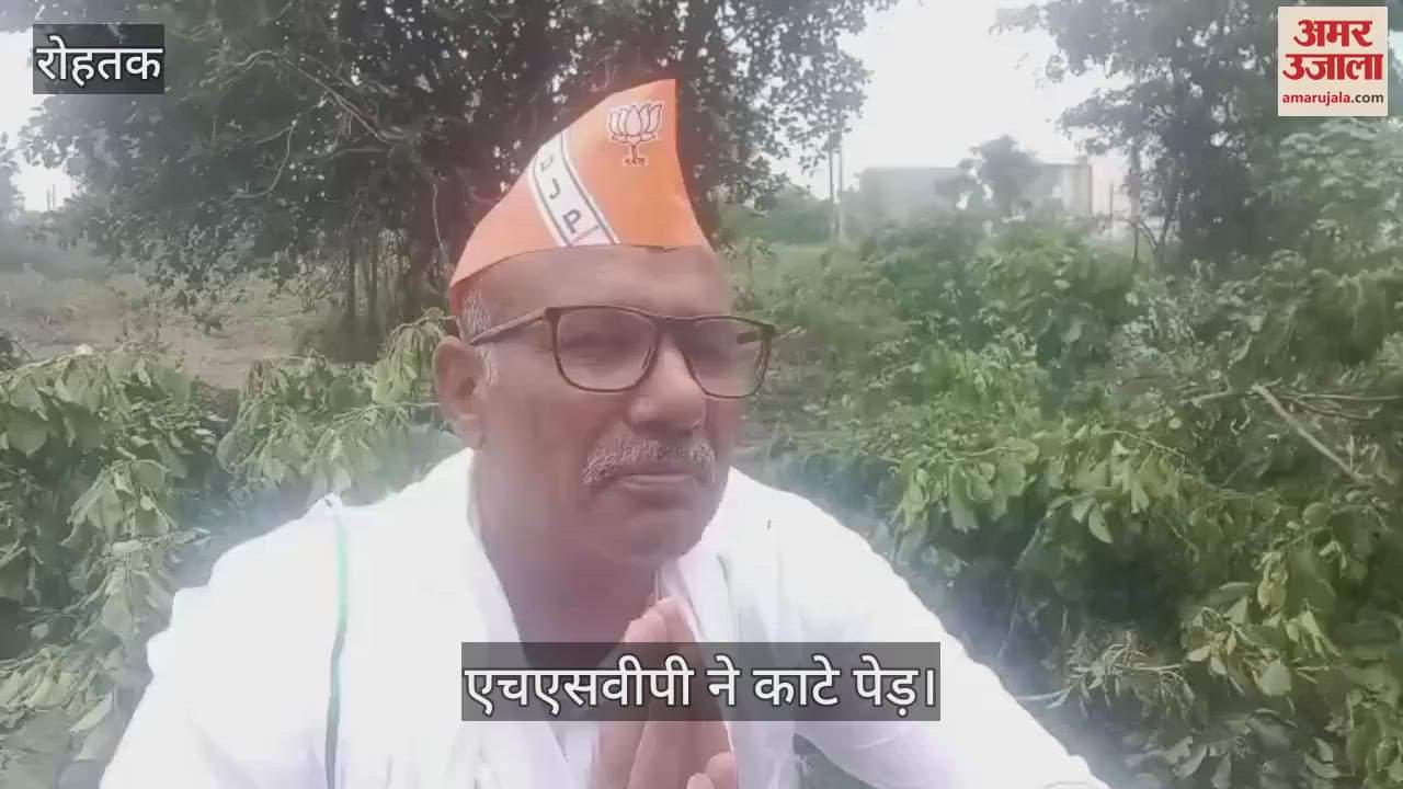 HSVP cut trees in Rohtak