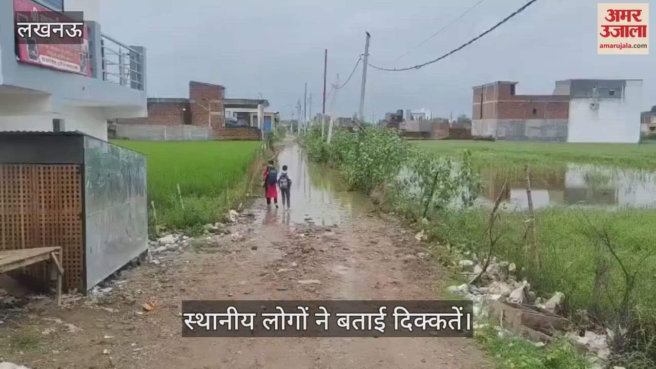 VIDEO: मामा कॉलोनी में नालियां गायब, सड़क बनी तालाब, स्थानीय लोगों ने बताई दिक्कतें